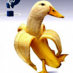 banán2